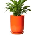 Ceramic Planter - 8 Inch Plant Pot with Drainage Hole and Saucer, Cylinder Round Modern Flower Pot for Indoor Outdoor Plants, Plant Lover Gifts, Garden Office Home Decor, Orange