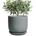 Ceramic Planter for Indoor Plants, 8 Inch Plant Pot, Gray