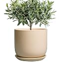 Ceramic Planter - Round Modern 8 Inch Plant Pot with Drainage Hole and Saucer for Flowers Herb, Home House Office Room Apartment Decor, Yellow