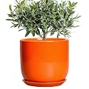 Ceramic Pot for Plants - 8 Inch Plant Pot with Drainage Hole and Saucer, Cylinder Modern Round Planter for Indoor Outdoor Plants, Housewarming Gifts, Office Home Garden Decor, Orange