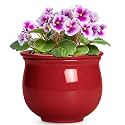 Ceramic Self Watering Planter, 6 Inch African Violet Pots with Absorbent Inner Pot, Round Self Watering Pots, Ceramic Flower Pot for Plants Indoor, Porch Decor, Plant Lover Gifts for Men, Red