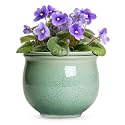Ceramic Self Watering Planter, 8 Inch African Violet Pots, Green