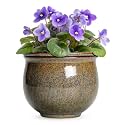 Ceramic Self Watering Pots, 8 Inch Ceramic Planter, Yellowish Brown