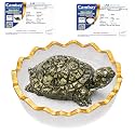Certified Pyrite Tortoise Kachhua with Selenite Charging