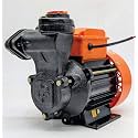 CG Flowganga 2 |0.5 HP | Residential Water Pump Self Priming Regenerative | Single Phase | Anti-Jam Winding | Anti-Drip Adaptor | Wide Voltage Range | 1 Year Manufacturer's Warranty
