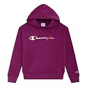 Champion Boys' Boys Hoodie for Kids Sweatshirt Fleece Youth Pullover With Hood