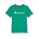 Champion Men's Heritage Short Sleeve Tee, Men’s T-Shirts, Vintage Shirts, Men’s Tee Shirts, Graphics