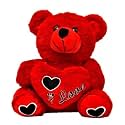 Bunny Soft Toy (25cm) (RED Heart)