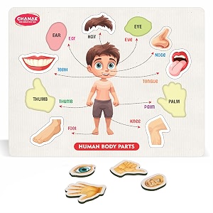 chanak wooden human body parts puzzle with picture educational 10 piece anatomy board for kids montessori learning puzzle for toddlers amp preschoolers nursery and kindergarten age above 2 years