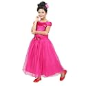 Chandrika Kids Floral Appliqu Festive Gown Dress