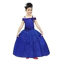 Chandrika Kids Floral Appliqu Festive Gown Dress