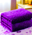 Changers Floral Double Mink Blanket for  Heavy Winter