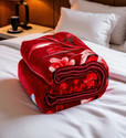 Changers Floral Double Mink Blanket for  Heavy Winter