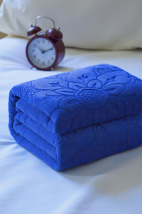 changers floral double mink blanket for  mild winter