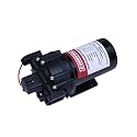Chapin 6-9216 12V/5.0 GPM 60 PSI Self-Priming Diaphragm Water Pump for ATVs, Marine, Boating, Water Supply, Camping, RV Recreation & Boom Spray Systems