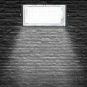 RSCT LED Brick Lights | Cool White | 50 Watt | Flood Light | Focus Light | Decoration | Outdoor Festivals | Christmas