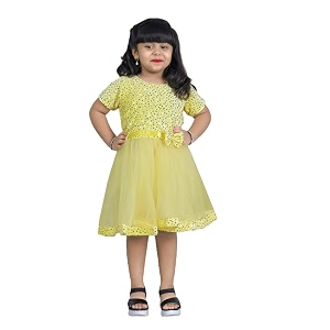 Charming Girls Kids Velvet Net Frock