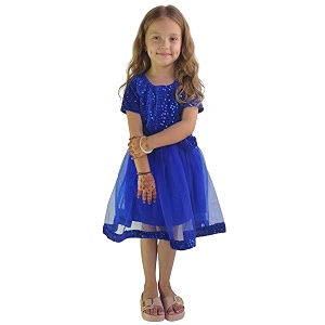 Charming Girls Kids Velvet Net Frock