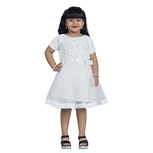 Charming Girls Kids Velvet Net Frock
