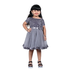 Charming Girls Kids Velvet Net Frock