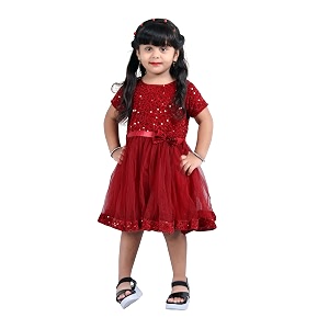 Charming Girls Kids Velvet Net Frock