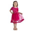 Charming Girls39 Kids Velvet amp Net Frock