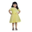 Charming Girls39 Kids Velvet amp Net Frock