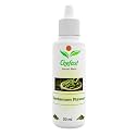Chefast Cardamon Flavour Baking Essence for Cake, Ice-Cream, Chocolates, Milkshakes- 30ML ( Use 2-3 Drops Essence for 250 Grm Cake)