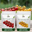 Cherry Tomato RedampYellow 100 Vegetable Seeds for