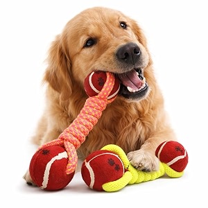 Chew Dog Toys Knotted Dumball Cotton Poly