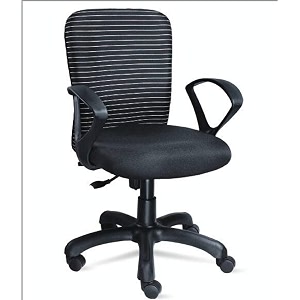 Chic Pick - Zebra Style Executive Office
