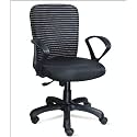 Chic Pick - Zebra Style Executive Office