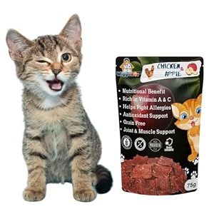 chicken amp apple cat treat  protein rich  great antioxidants  crunchy healthy snacks  75g