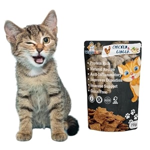 chicken amp ginger cat treat  protein rich  anti-inflammatory  crunchy healthy snacks 75g