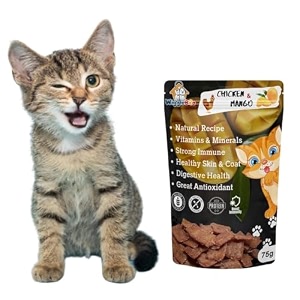 chicken amp mango cat treat  protein rich  fiber rich  crunchy healthy snacks  training treat  75gm