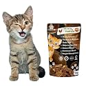 Chicken &amp; Pumpkin Cat Treat - Irresistible Flavor Fusion for a Healthy Pet, The Perfect Snack to Satisfy Your Cat Cravings, A Burst of Chicken &amp; Pumpkin Flavor to Delight Your Cat (75g)