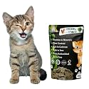 Chicken &amp; Spinach Cat Treat | Protein Rich | Fiber Rich | Crunchy Healthy Snacks | 75g