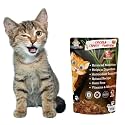 Chicken, Carrot &amp; Pumpkin Cat Treat | Protein Rich | Natural Detoxifier | Crunchy Snack | 75g