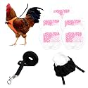 Chicken Harness Hen Size with 5.5ft Matching Leash – Adjustable, Resilient, Comfortable, Breathable, Large, Suitable for Chicken Weighing About 6.6 Pound,Orange