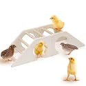 Chicken Perch - for Baby Chicks [No Assembly Required, Pine Wooden Easy to Clean] Chick Roosting Bar for Brooder, Baby Chick Toys, Chicks Play Structure, Suitable for Large Baby Birds