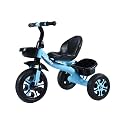 Children's Tricycle with Anti-Tip Design, Footrests, Blue and Black, Kids Gift (Blue)