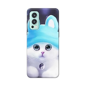 Chinese Cutie Kitten Cat Big Eyes Lovely