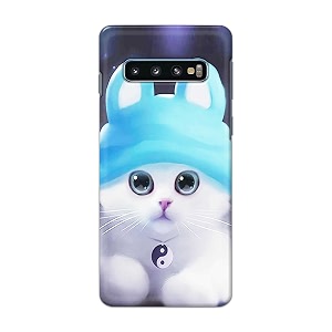 Chinese Cutie Kitten Cat Big Eyes Lovely