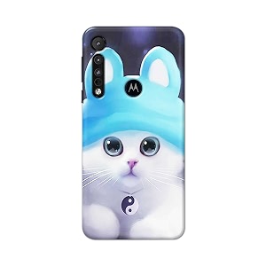 Chinese Cutie Kitten Cat Big Eyes Lovely