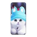 Chinese Cutie Kitten Cat Big Eyes Lovely