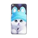 Chinese Cutie Kitten Cat Big Eyes Lovely
