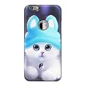 Chinese Cutie Kitten Cat Big Eyes Lovely