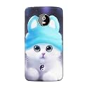 Chinese Cutie Kitten Cat Big Eyes Lovely
