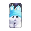 Chinese Cutie Kitten Cat Big Eyes Lovely