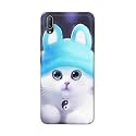 Chinese Cutie Kitten Cat Big Eyes Lovely